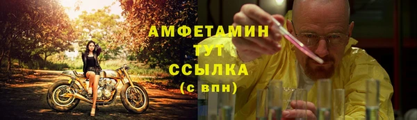 мет Алексин