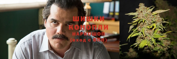гидра Аркадак