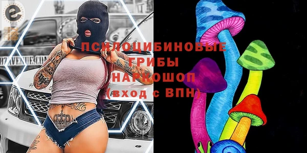 прущий лед Алексеевка