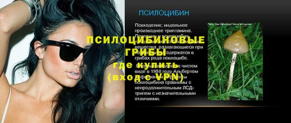 мдпв Армянск