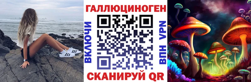 Псилоцибиновые грибы Cubensis  Кемерово 