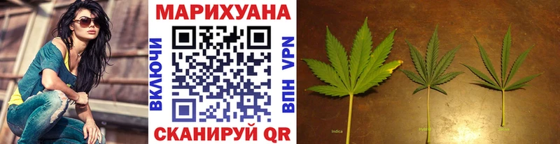 Бошки марихуана план  закладки  OMG как войти  Кемерово 